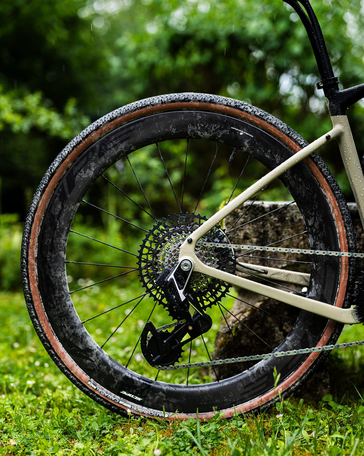 Back wheel with oversize derailleur cage for sram TType